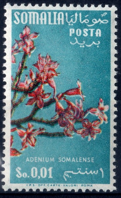 1956 Fiori filigrana stelle