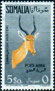 1959 Animali (Fil. Stelle III°)