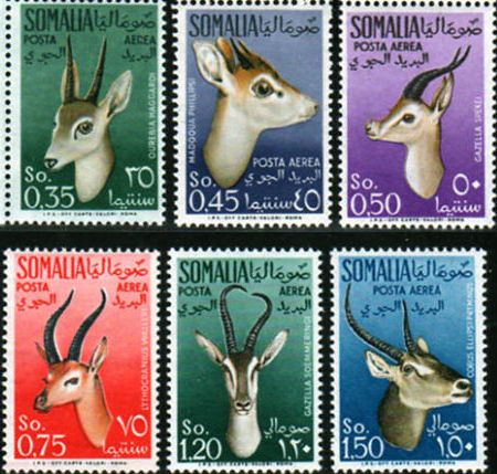 1955 Animali (Fil. Stelle III°)