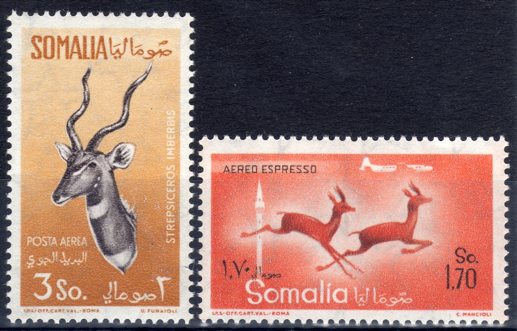 1958 Animali (Fil. Stelle I°)